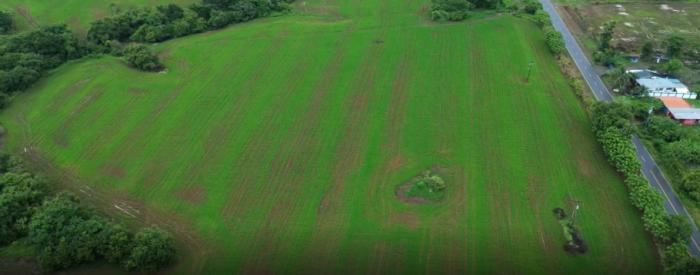 Venta de finca en pedasí, los santos