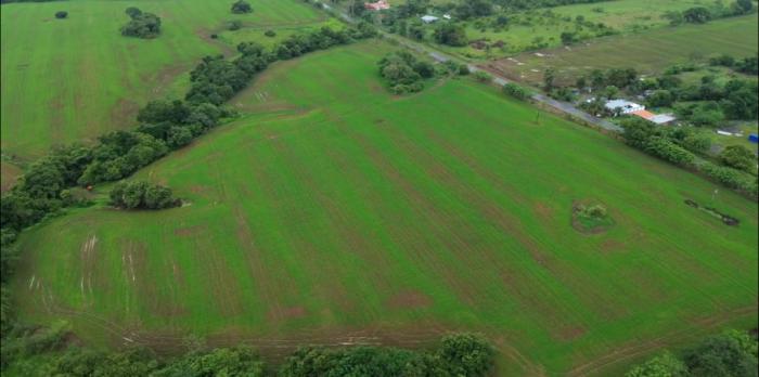 Venta de finca en pedasí, los santos