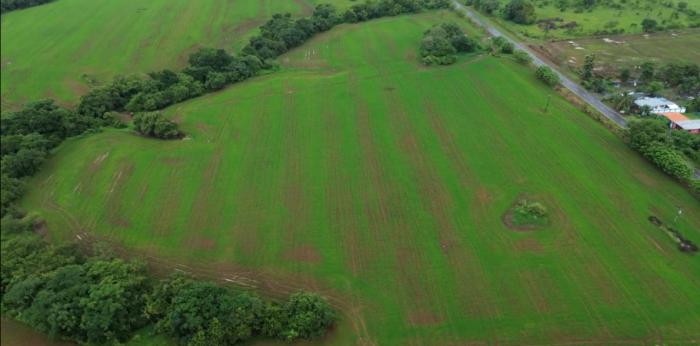 Venta de finca en pedasí, los santos
