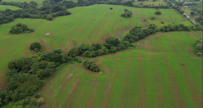 Venta de finca en pedasí, los santos