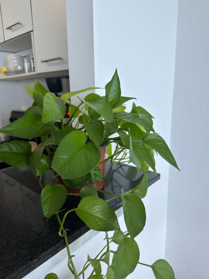 Venta de apartamento vacío en ave. balboa, panamá
