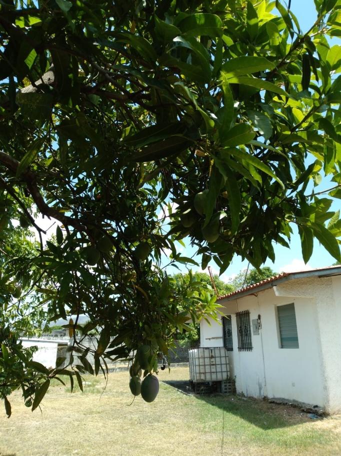 Bohemia e idílica casa de campo en venta ? $110,000 (negociable)/bohem...