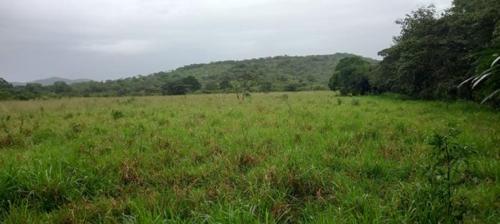 For sale: hacienda don andrés