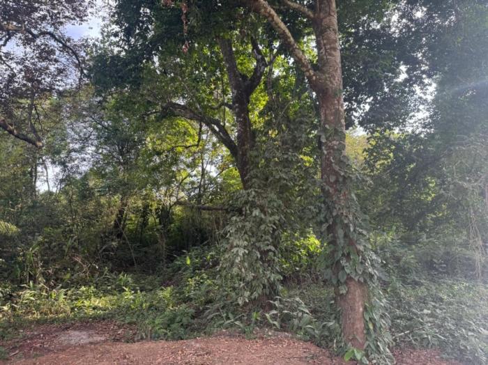 For sale: titled land in hicaco, 300 meter from the beach.