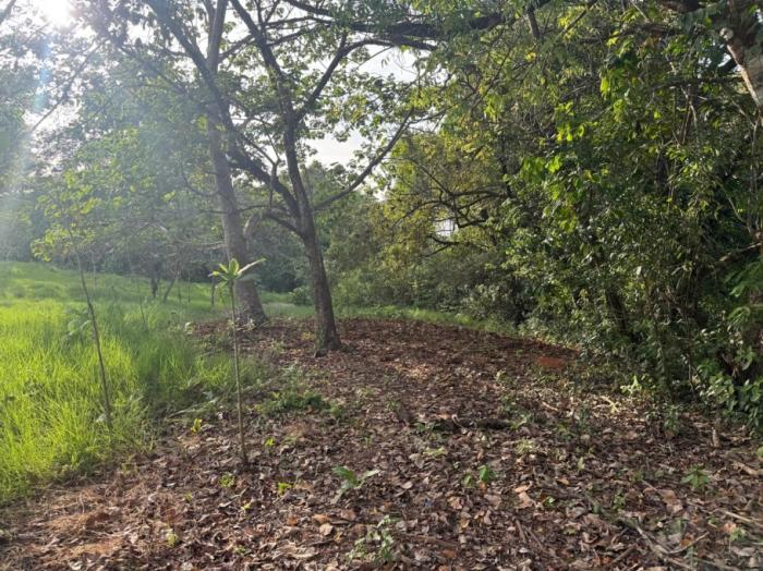 For sale: titled land in hicaco, 300 meter from the beach.