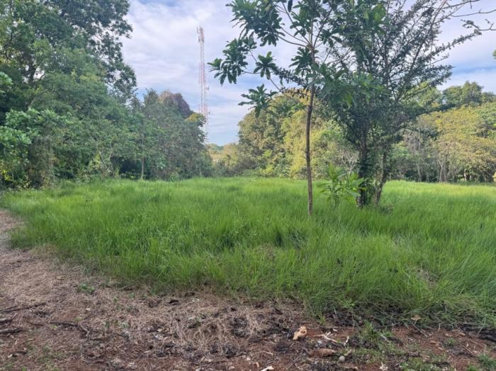 For sale: titled land in hicaco, 300 meter from the beach.