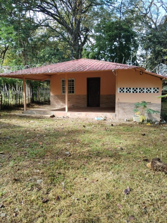 For sale: titled 4.5 hectare property with home and crops.