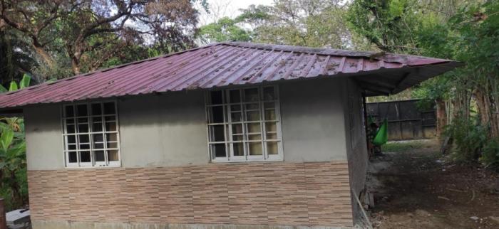 For sale: titled 4.5 hectare property with home and crops.