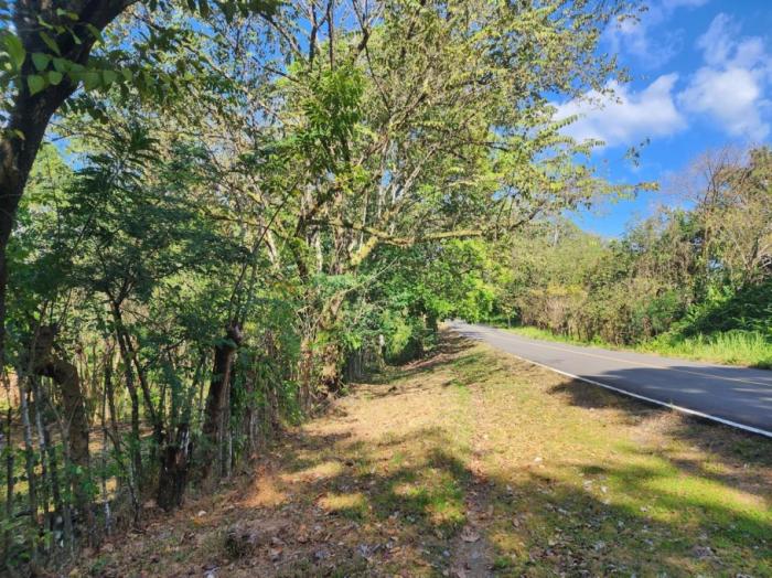 For sale: titled 4.5 hectare property with home and crops.