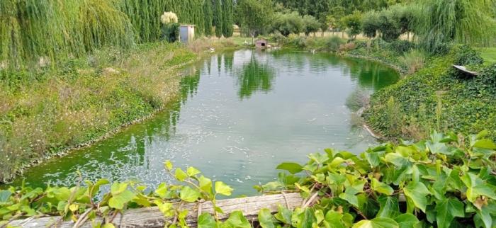 Venta de finca rústica de ensueño, 18.500 m² de naturaleza pura