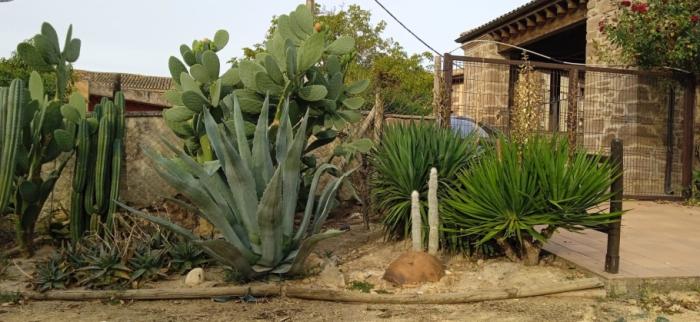 Venta de finca rústica de ensueño, 18.500 m² de naturaleza pura