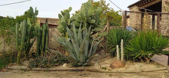 Venta de finca rústica de ensueño, 18.500 m² de naturaleza pura