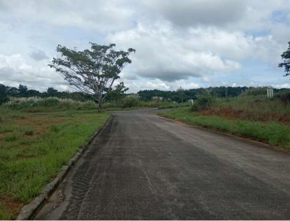 ¡gran oportunidad! se vende lote comercial con zonificación rm-3
