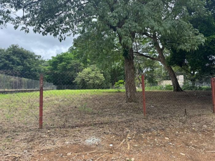 Venta de terreno en david 