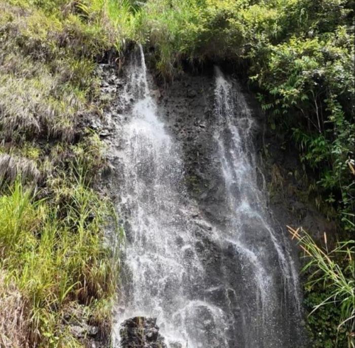 Venta de finca de agroturismo en renacimiento 