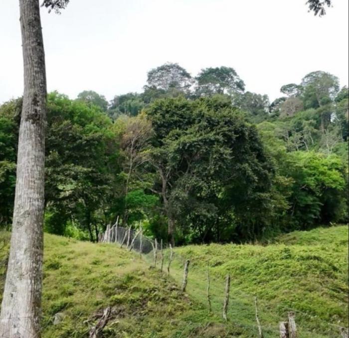 Venta de finca de agroturismo en renacimiento 
