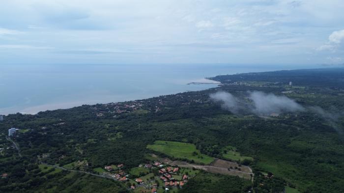 Venta de hectáreas en punta barco, san carlos