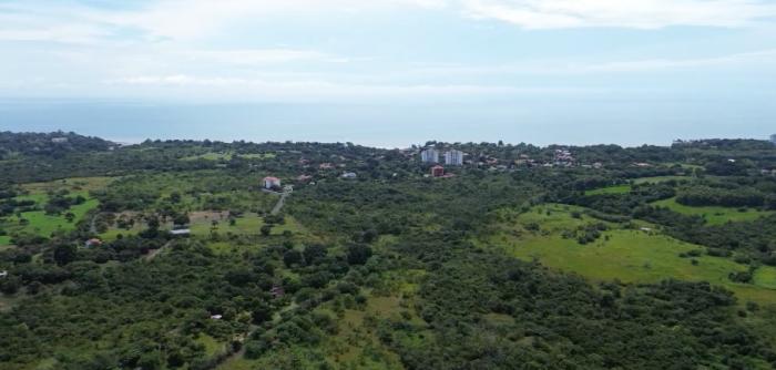 Venta de hectáreas en punta barco, san carlos