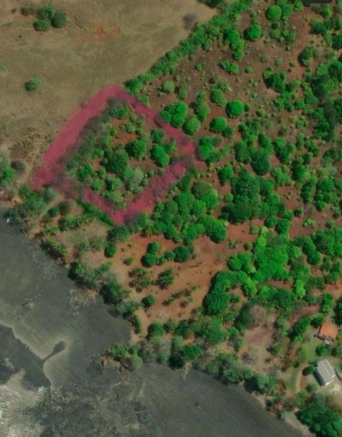 Se vende: propiedad de 7,000 m² con vista al mar y acceso privado en playa estero.