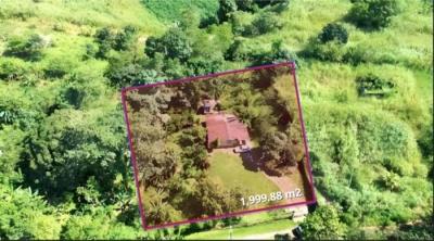 138349 - Chilibre - lots