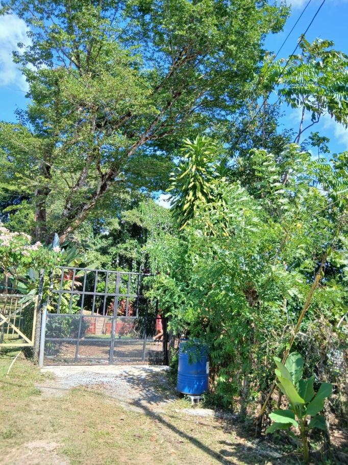 Spacious house on idyllic property