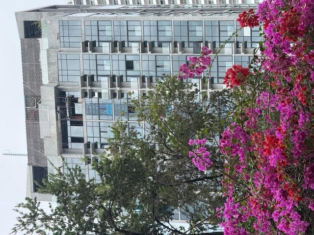 Se vende apartamento en proyecto ph dovle selva coco del mar panamá ci...