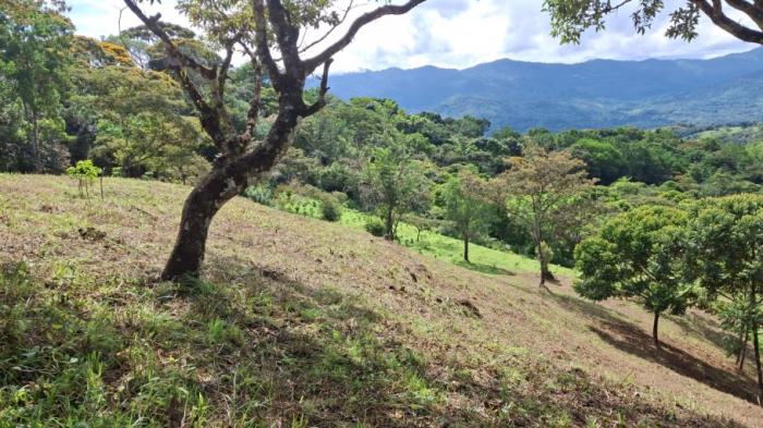 For sale: 19-hectare titled property in santa fe