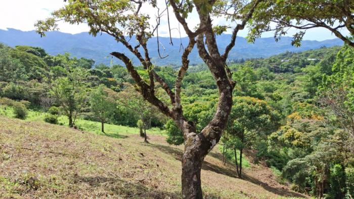 For sale: 19-hectare titled property in santa fe