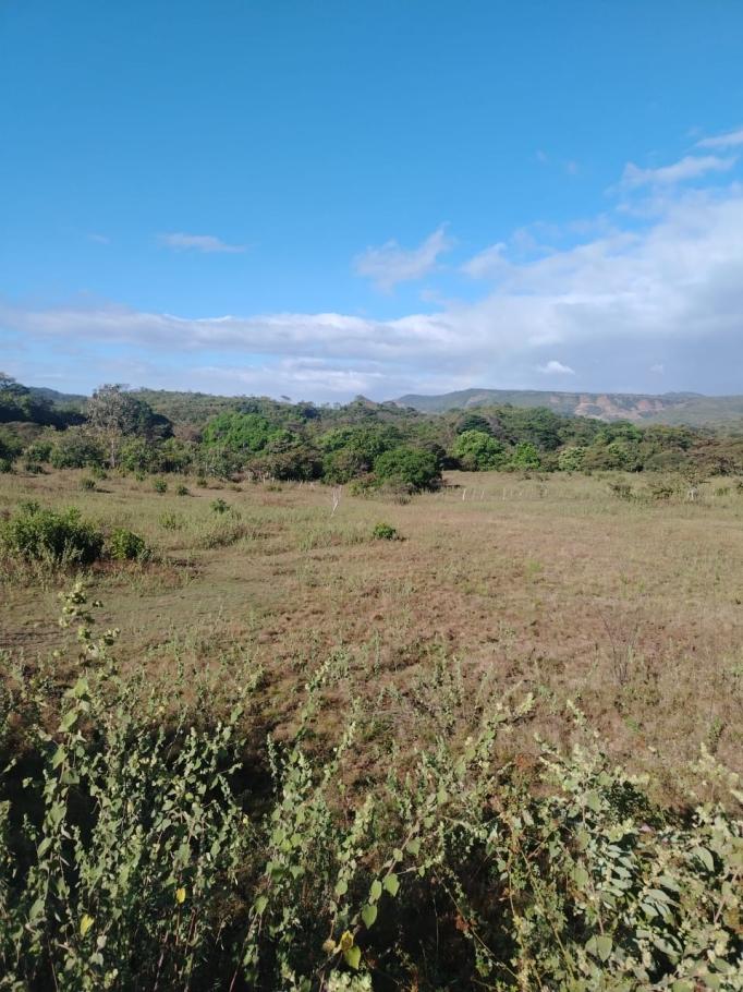 For sale: 48 titled hectares in san francisco, veraguas.