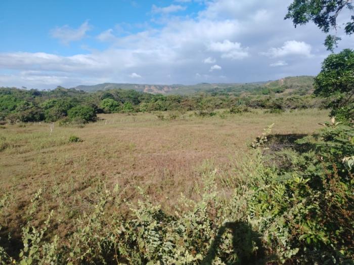 For sale: 48 titled hectares in san francisco, veraguas.