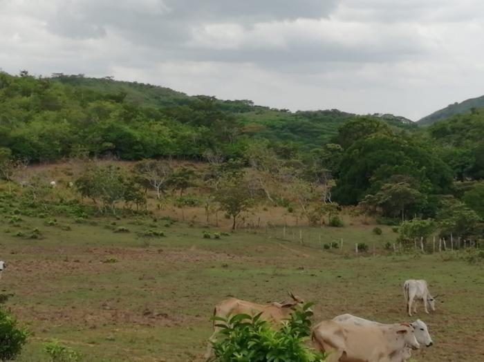 For sale: 48 titled hectares in san francisco, veraguas.