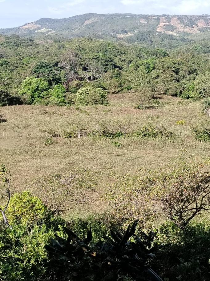 For sale: 48 titled hectares in san francisco, veraguas.