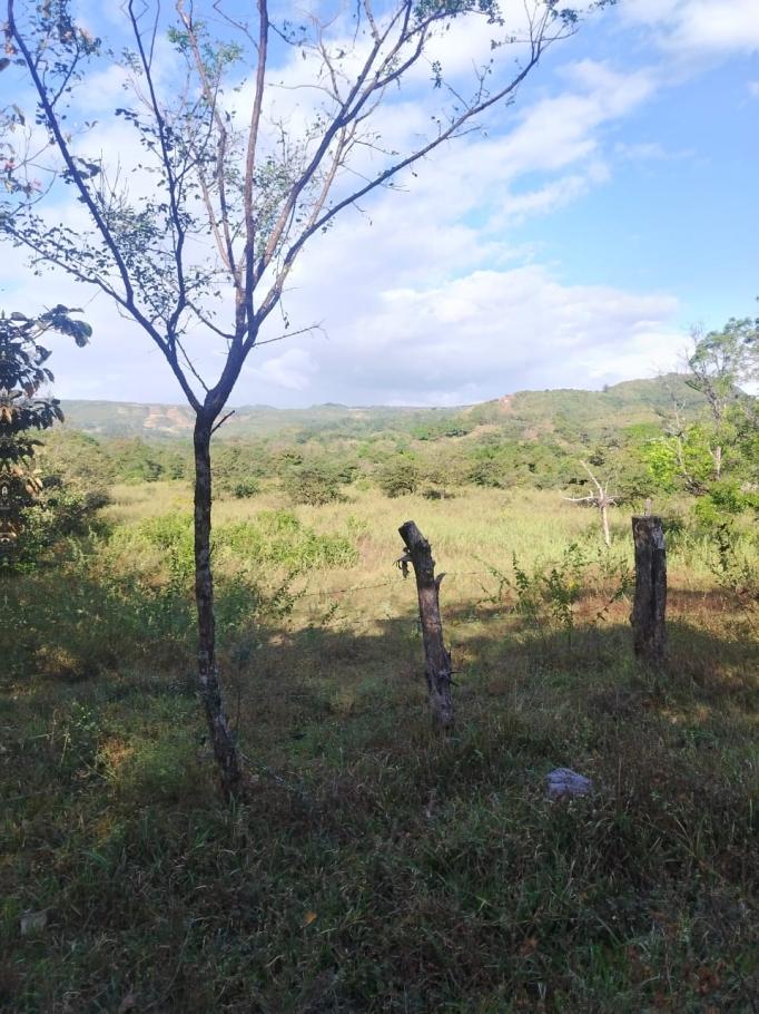 For sale: 48 titled hectares in san francisco, veraguas.