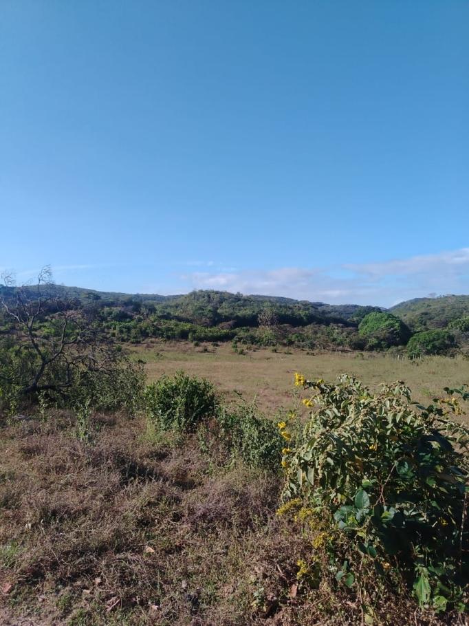 For sale: 48 titled hectares in san francisco, veraguas.
