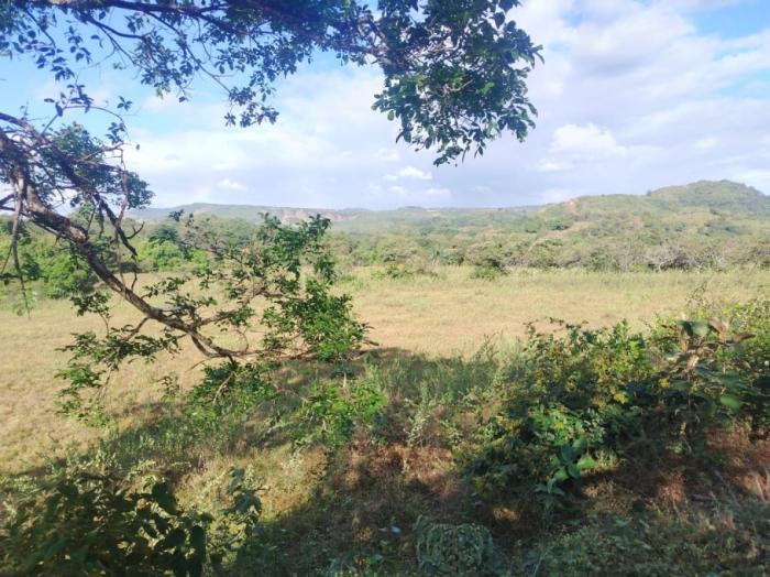 For sale: 48 titled hectares in san francisco, veraguas.