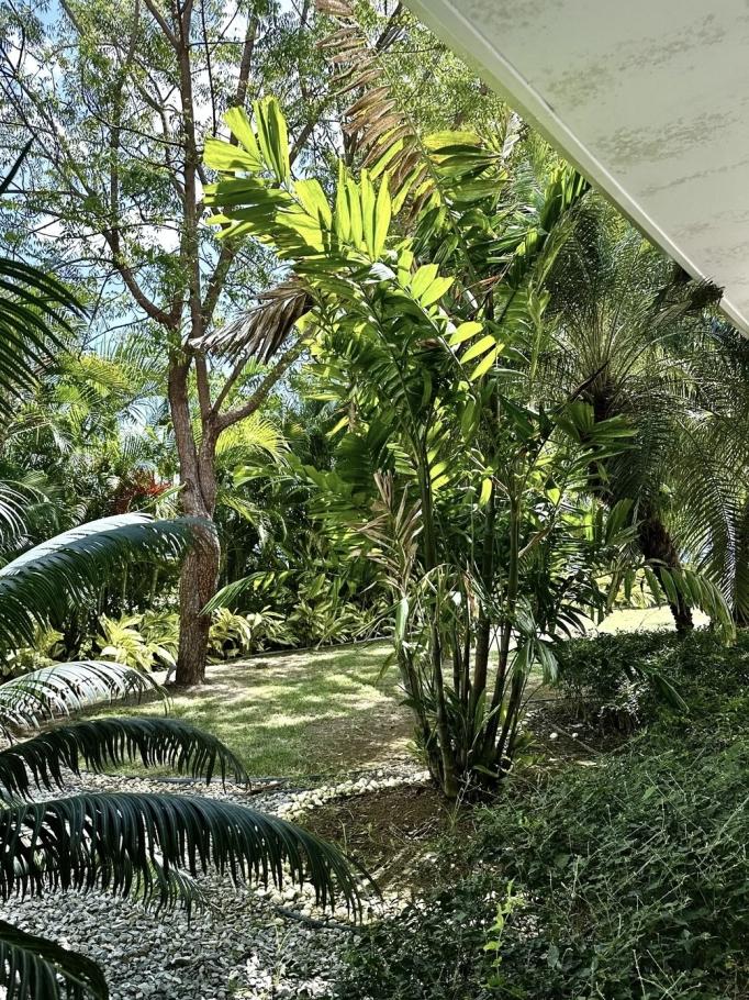 Venta de casa frente a la playa en bijao 