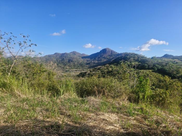Finca de 5 hectáreas con frente a carretera asfaltada, servicios y vistas panorámicas ? a solo 5 minutos del centro de la pintada, ofrecida en $85,000