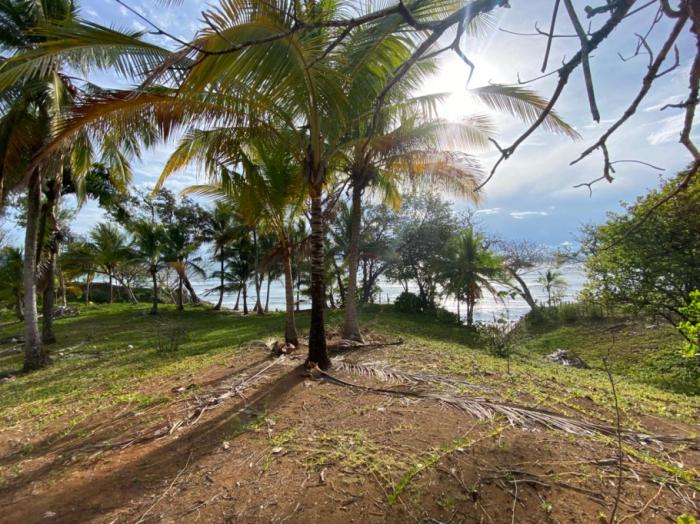 En venta: lote expectacular con vista al mar, en punta brava