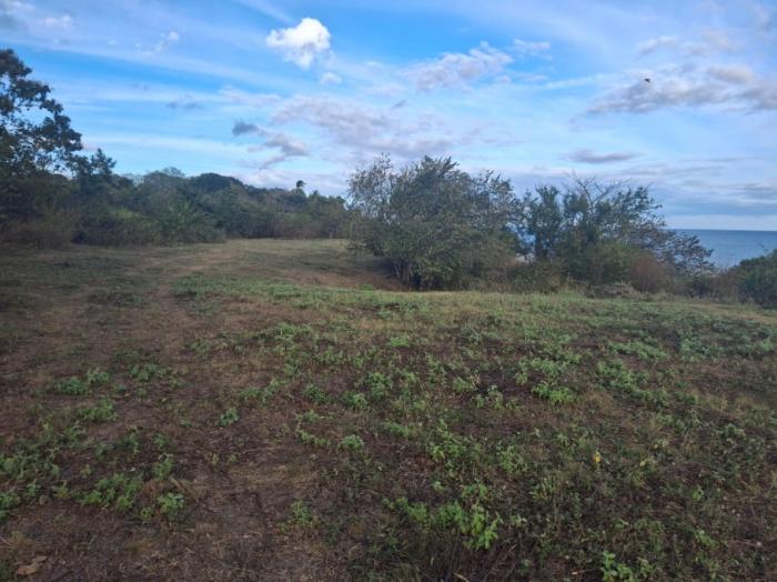 Vendo hermosa finca de 36 hectáreas con vista al mar y entorno natural en el higo
