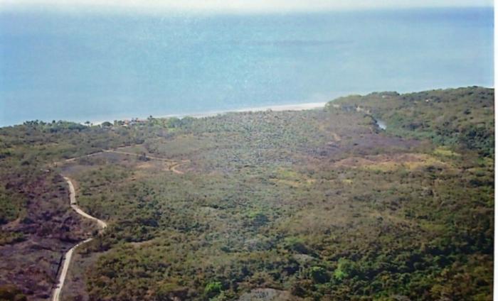 Vendo hermosa finca de 36 hectáreas con vista al mar y entorno natural en el higo