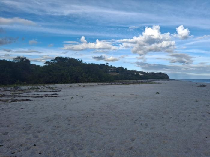 Vendo hermosa finca de 36 hectáreas con vista al mar y entorno natural en el higo
