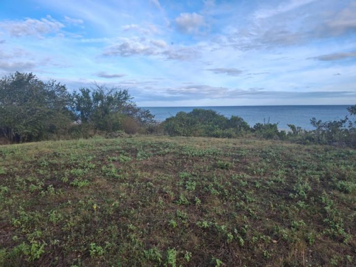 Vendo hermosa finca de 36 hectáreas con vista al mar y entorno natural en el higo