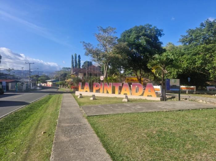 Finca de 5 hectáreas con frente a carretera asfaltada, servicios y vistas panorámicas ? a solo 5 minutos del centro de la pintada, ofrecida en $85,000