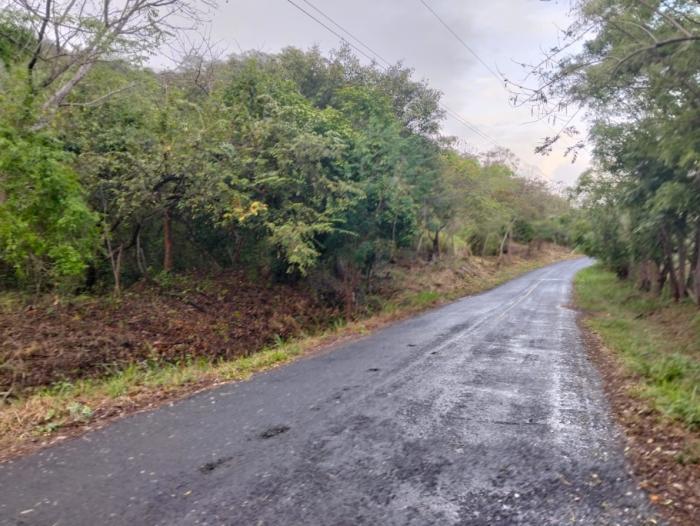 Finca de 5 hectáreas con frente a carretera asfaltada, servicios y vistas panorámicas ? a solo 5 minutos del centro de la pintada, ofrecida en $85,000