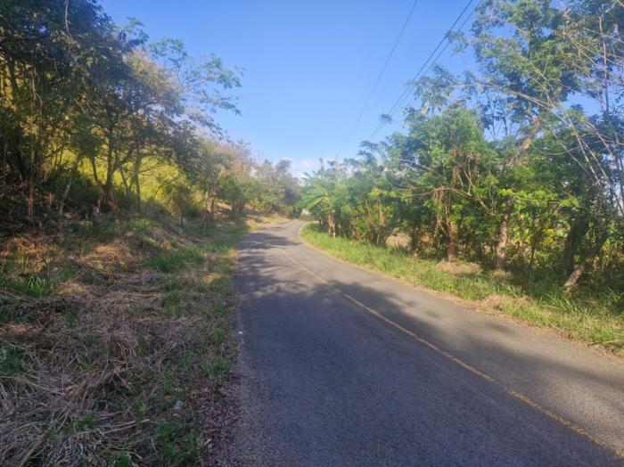 Finca de 5 hectáreas con frente a carretera asfaltada, servicios y vistas panorámicas ? a solo 5 minutos del centro de la pintada, ofrecida en $85,000