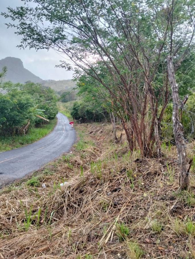 Finca de 5 hectáreas con frente a carretera asfaltada, servicios y vistas panorámicas ? a solo 5 minutos del centro de la pintada, ofrecida en $85,000