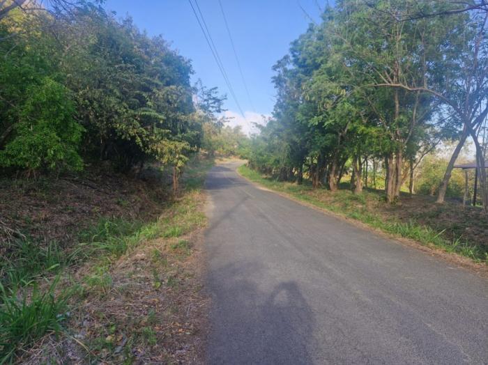Finca de 5 hectáreas con frente a carretera asfaltada, servicios y vistas panorámicas ? a solo 5 minutos del centro de la pintada, ofrecida en $85,000
