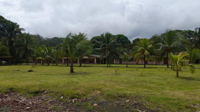 1.35-hectare titled beachfront estate in playa uvas, portobelo, offered at $2,300,000.
