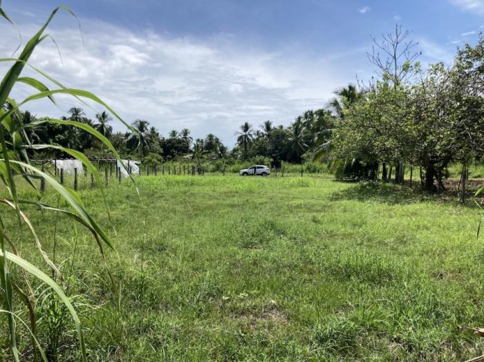 Attractive lot only steps from the beach