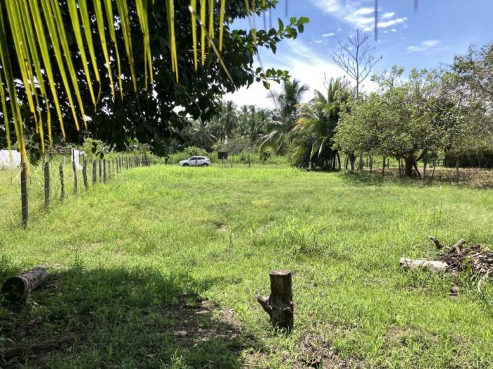 Attractive lot only steps from the beach